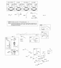 Alternator Controls Electric Starter Governor Spring Ignition Diagram and Parts List for  Briggs and Stratton Engine